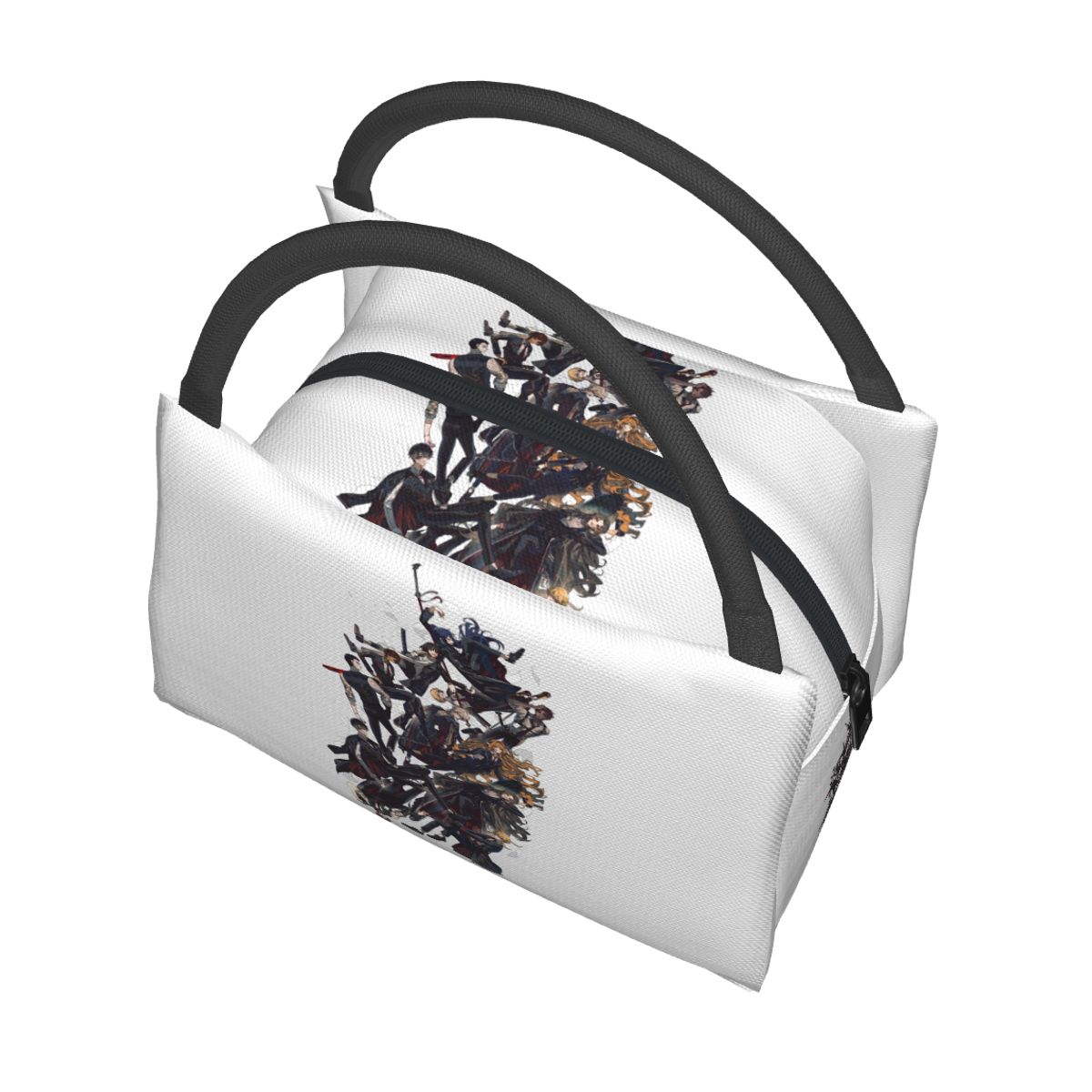 Limbus Company Insulated Lunch - Women Bags Company review and price